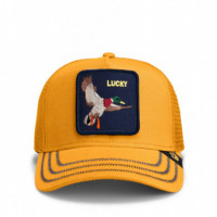GOORIN BROS Gorra Oro 101-1974-GLD