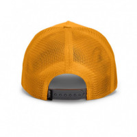 GOORIN BROS Gorra Oro 101-1974-GLD