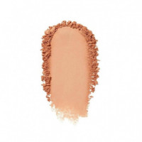 SHISEIDO Sheer And Perfect Compact Foundation SPF15