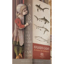 la Mayoria de los Tiburones Son Pequeãos   2024