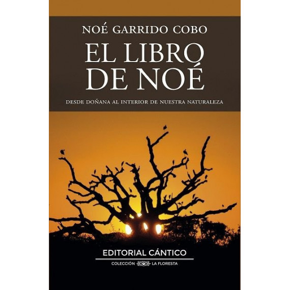 el Libro de Noe   2025