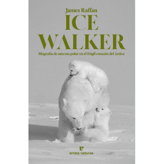 Ice Walker   2024 - Guanxe Atlantic Marketplace