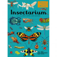 Insectarium   2024 - Guanxe Atlantic Marketplace