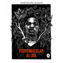 Perpendicular Al Sol   2024