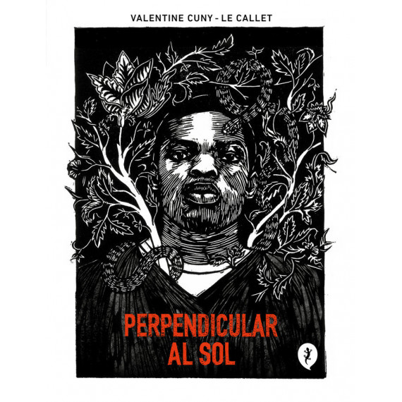 Perpendicular Al Sol   2024