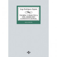 Teoria y Practica del Derecho Constitucional   2024