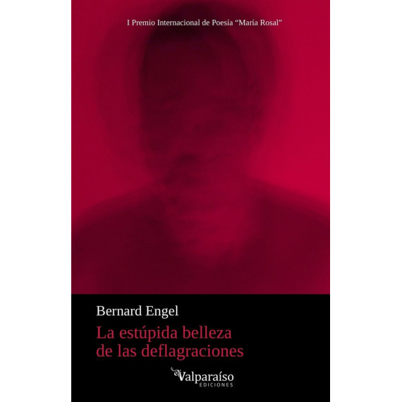 Estupida Belleza de las Deflagraciones,la   2025