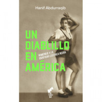 un Diablillo en America   2024 - Guanxe Atlantic Marketplace
