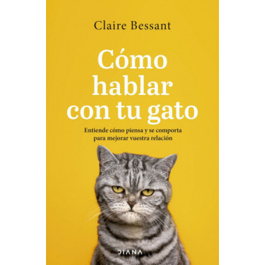 Como Hablar con tu Gato   2024