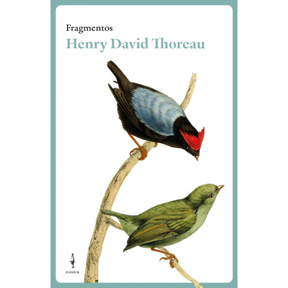 Fragmentos Henry David Thoreau   2024