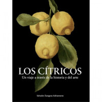 los Citricos   2024 - Guanxe Atlantic Marketplace