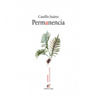 Permanencia   2024 - Guanxe Atlantic Marketplace