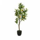 Terraza Y Jardín Planta 3549253