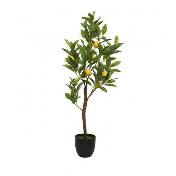 Terraza Y Jardín Planta 3549253