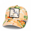 Gorra 'san Quittin' Time'  GOORIN BROS