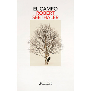 el Campo   2024
