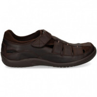 Bonanza Grass Marron  PANAMA JACK