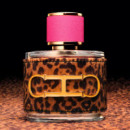 Ch Wild Love  CAROLINA HERRERA