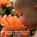 Parches Post Picadura CHICCO