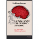 la Evolucion del Cerebro Humano