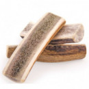 ICA Perro Snack Media Asta de Ciervo S