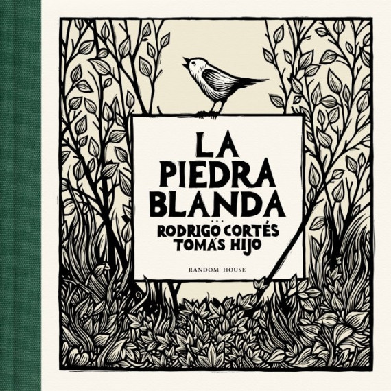 la Piedra Blanda   2025