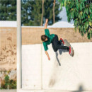 Zapatillas VANS Skate Curren Caples