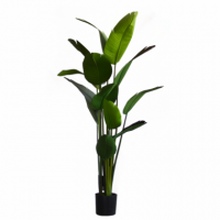 árbol Strelitzia Alba- Planta Artificial Realista- 190 Cm- Green Essentials®- Interior  GREEN ESSENTIALS®