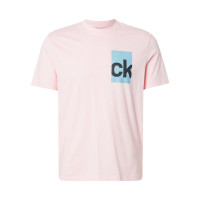 Camiseta Box Graphic  CALVIN KLEIN