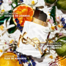 YVESSAINTLAURENT Libre L'eau Nue Eau de Parfum