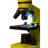 LEVENHUK Microscopio Rainbow 2L Lime REF.69169