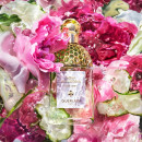 Aqua Allegoria Rosa Verde Edt  GUERLAIN