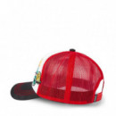 Gorra Flying Eyes  VON DUTCH