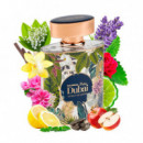 Palm Dubai  AL HARAMAIN