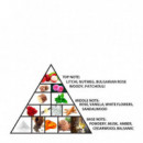 Miracle Dubai  AL HARAMAIN