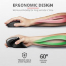 Raton TRUST Verro Wireless Ergonomic