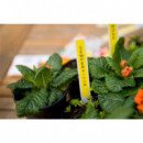 Cinta BROTHER TZE-631 12MM