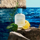 Light Blue Pour Homme (new)  DOLCE & GABBANA