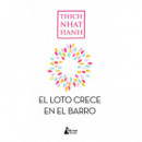 sin Barro No Crece el Loto