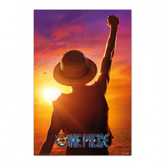 Póster Monkey D Luffy    Netflix  One Piece  GRUPO ERIK