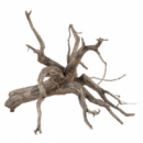 SERA Raíz Scaper Xs 18-20 Cm