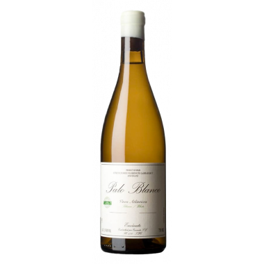 Palo Blanco 2023 - 75CL  ENVÍNATE