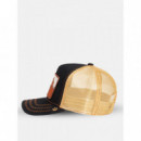 Gorra Easy Rider de Goorin  GOORIN BROS