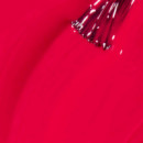 Nl Koala Bear-y
esmalte de Uñas  O.P.I