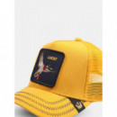 Gorra Gotta Be Quicker de Goorin  GOORIN BROS