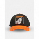 Gorra Solo Wolf de Goorin  GOORIN BROS
