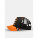 Gorra Solo Wolf de Goorin  GOORIN BROS