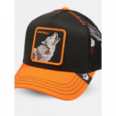Gorra Solo Wolf de Goorin  GOORIN BROS