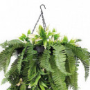 Planta Artificial Colgante Serie Adrianna DONNA GARDEN 50X70 Cm