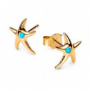 Pendiente de Botón Estrella de Mar 263820C01  PANDORA